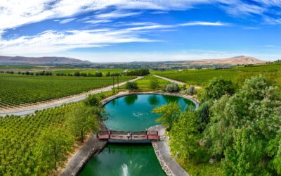 Red Mountain AVA Wines: Discover the Magic