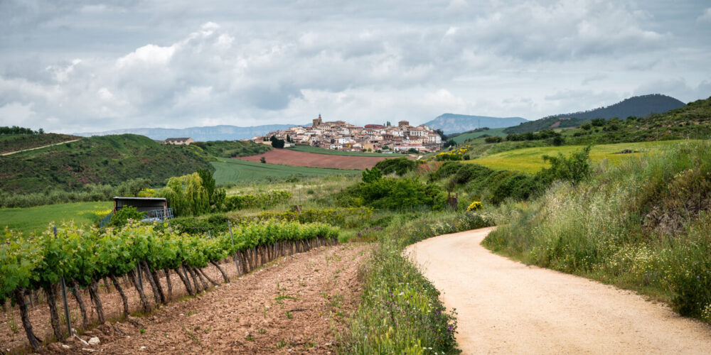 A dirt road winding through vinyards on the way to the Spanish Village of Cirauqui. This apart of the Camino Way