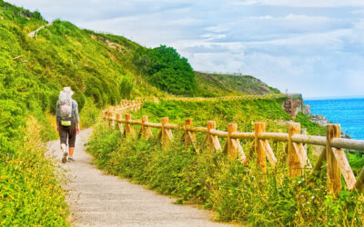 Discover the Best Routes of the Camino de Santiago