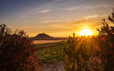 Discovering Spain’s Ribera del Duero Wine Route