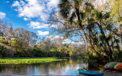 5 Orlando Hiking Trails That Will Stay in Your Memories Forever