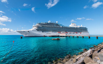 Is Cruise Travel Insurance Essential for Your Journey?