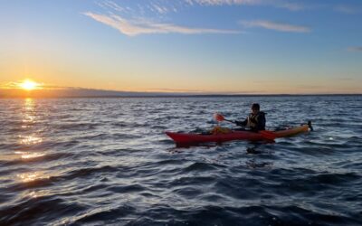 Fun Things To Do in Bellingham This Summer