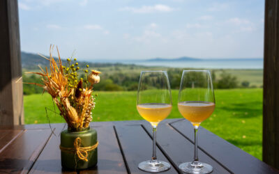 An Expert Guide to the Best Hungarian Wines