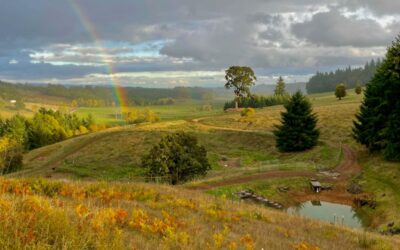 Escape to Inn the Ground: A Luxurious B&B in Oregon Wine Country