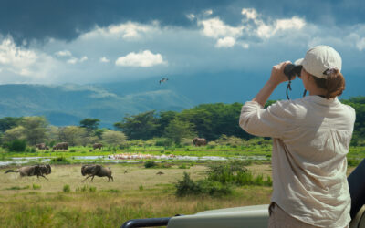 10 Best Destinations for Luxury Wildlife Holidays