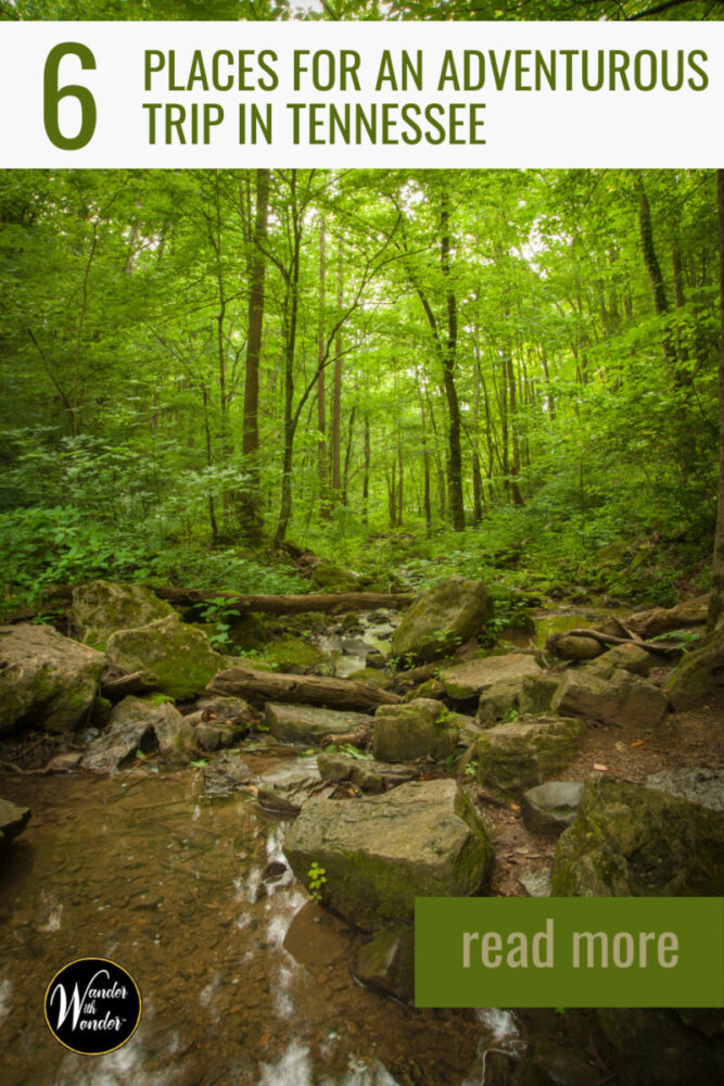 Whether planning a family vacation or solo trip, Tennessee has some great places you can explore. Here are 6 places for a trip in Tennessee. 