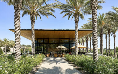 Explore Fairfield, CA: Gateway to the Suisun Valley Wine Region