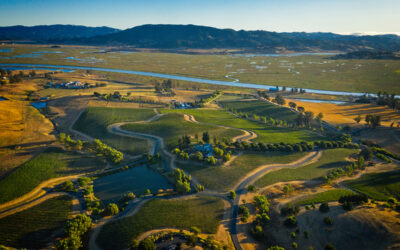 Women-Owned Sonoma Wineries: How Two Women Helped Shape Sonoma’s Legacy