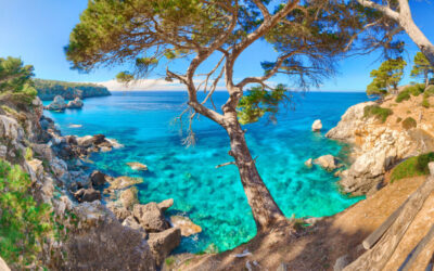Majorca All-Inclusive Holidays: Why This Balearic Island Is Perfect for Every Traveler
