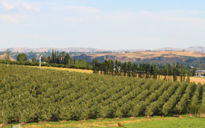 Yakima Valley Wine Country