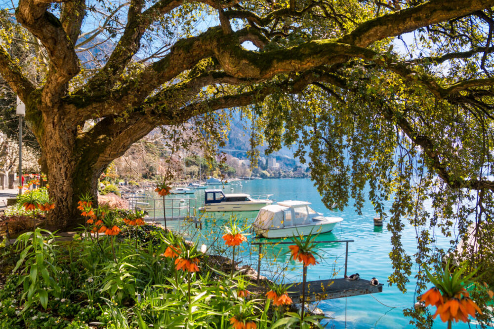 Flowers, mountains and Lake Geneva (Leman) in Montreux, Switzerland