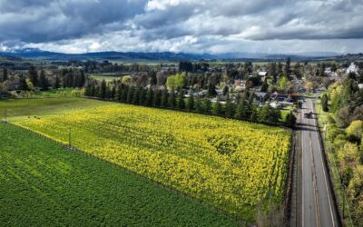 Carlton, Oregon: Small-Town Charm at the Heart of Oregon Wine Country