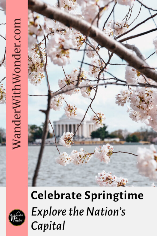 Celebrate Springtime: Explore the Nation's Capital 2 Celebrate the nation's heritage among the beautiful blooms during the month-long Cherry Blossom Festival, from mid-March to mid-April.