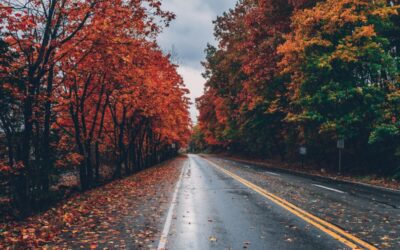 What to Pack for a Cozy Cabin Weekend in Fall and Winter