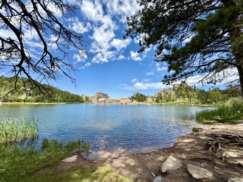 Black Hills, South Dakota Summer Travel Guide: Best Things to Do and Where to Go 6 Sylvan Lake