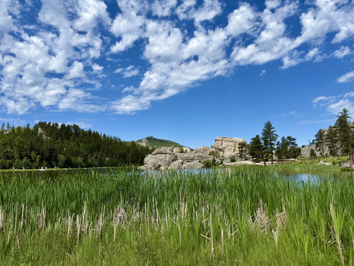 Sylvan Lake with blue sky and green grass during summer in Black Hills of South Dakota