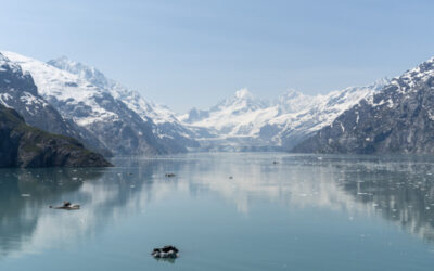 Alaska’s Midnight Sun Cruise: A Surreal Journey Through the Last Frontier