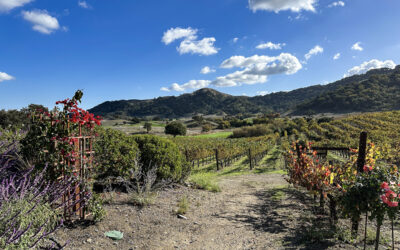Things to Do in Morgan Hill, California: Food, Wine, and Farm Experiences