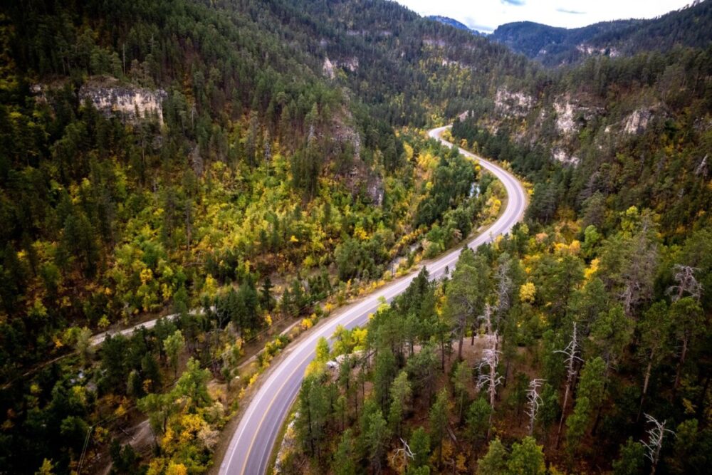 Black Hills, South Dakota Summer Travel Guide: Best Things to Do and Where to Go 14 mountain road winding through trees and mountains