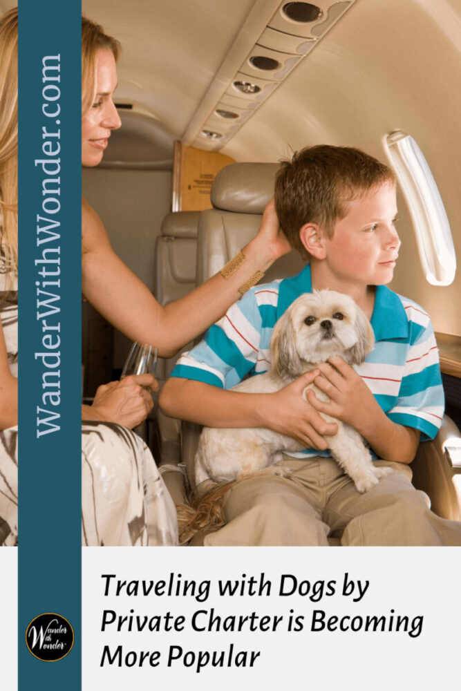 Traveling With Dogs by Private Charter Is Becoming More Popular