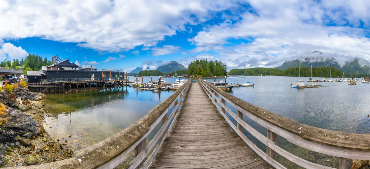 Panoramic view of a wooden pier leading into the tranquil harbor of tofino, british columbia, with boats moored, lush greenery, and mountains in the background on a sunny summer day