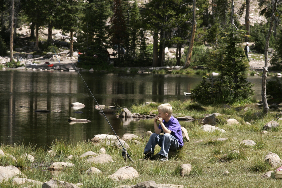 Boy fishing in mountain lake with pine trees in the background.