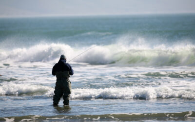 Best Fishing Destinations in California for 2026