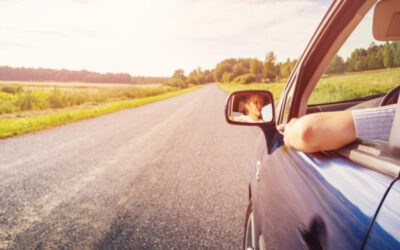 The Rise of Purposeful Travel: What Road Trips Teach Us About Slowing Down