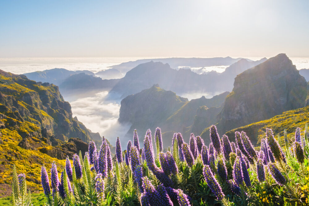 Driving Madeira: The Ultimate Scenic Road Trip Through Portugal's Island Paradise 5 View from Pico do Arieiro, Portugal