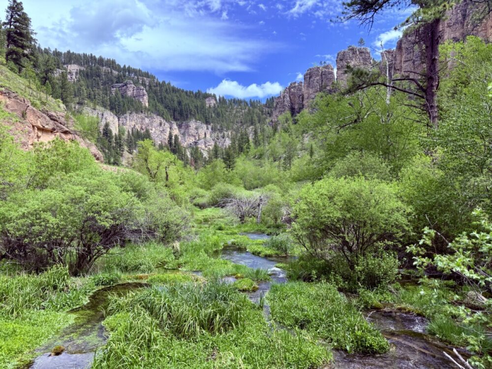 Black Hills, South Dakota Summer Travel Guide: Best Things to Do and Where to Go 15 roughlock falls trail