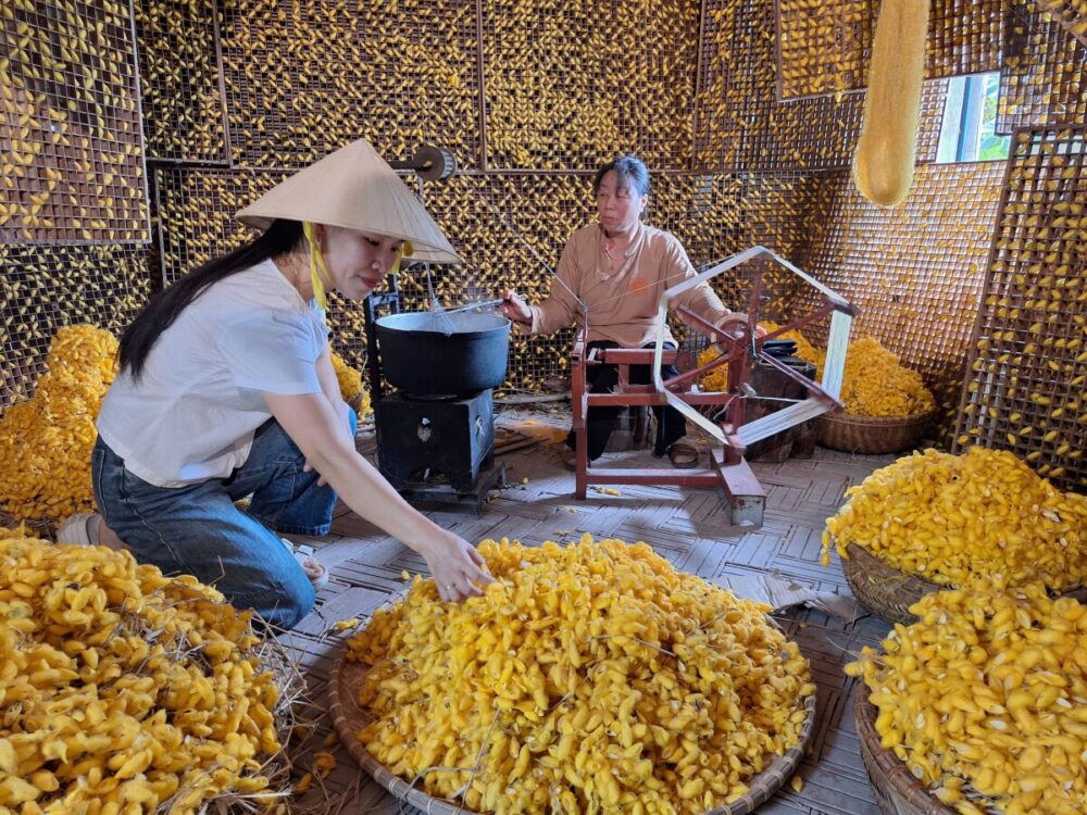 Beyond the Karsts: How Pullman Ninh Binh Unlocks the Real Ninh Binh 7 A woman wearing a traditional conical hat examines a large basket of yellow silkworm cocoons, while another woman sits in the background operating a traditional silk reeling machine over a boiling pot.