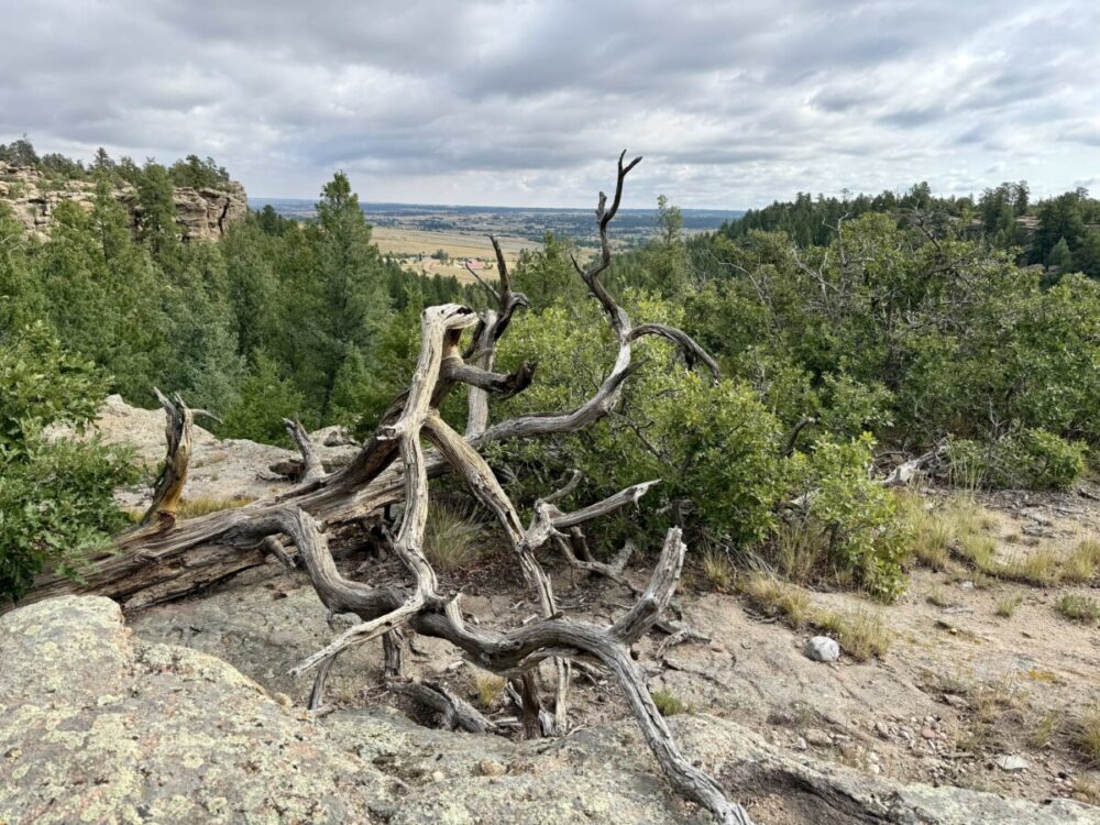 Best Things to Do in Castle Rock, Colorado 5 Lost Canyon open space