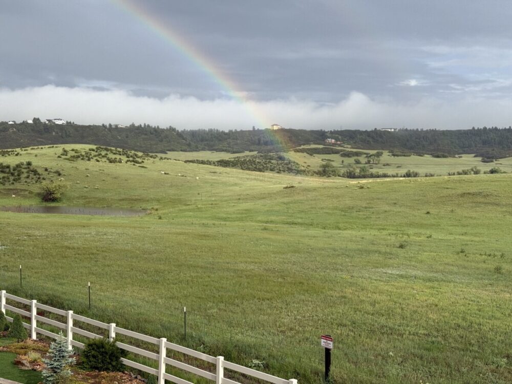 Best Things to Do in Castle Rock, Colorado 14 View out back with rainbow and antelope