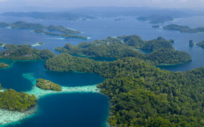 Raja Ampat Liveaboard Cruise: Indonesia’s Ultimate Island Adventure