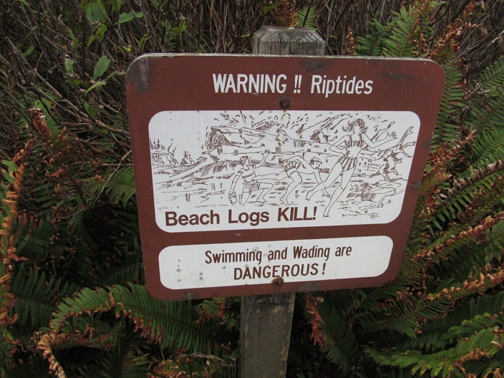 Beach logs kill sign in Olympic National Park. One of the things to watch out for during winter travel with a dog.