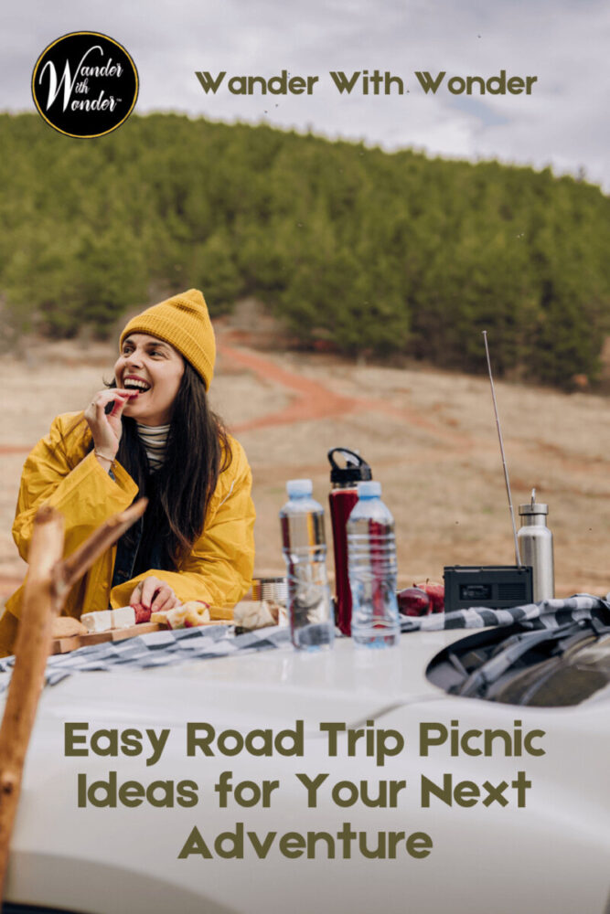 Road Trip Picnic Ideas for an Effortless Travel Spread 4 Make your next scenic drive even better with these easy road trip picnic ideas. Discover travel-friendly snacks, simple picnic gear, packing tips, and ways to create an effortless outdoor spread wherever your travels take you.