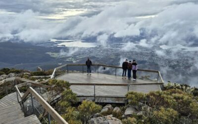 Hobart Food Guide: 10 Things to Eat, Drink, and Do in Tasmania