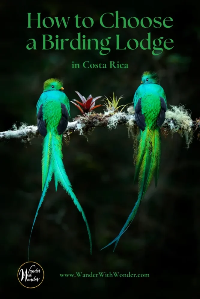 How to Choose a Birding Lodge in Costa Rica 6 How to Choose a Birding Lodge in Costa Rica