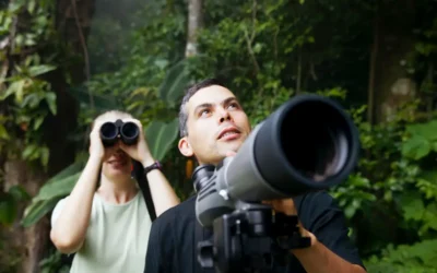 How to Choose a Birding Lodge in Costa Rica
