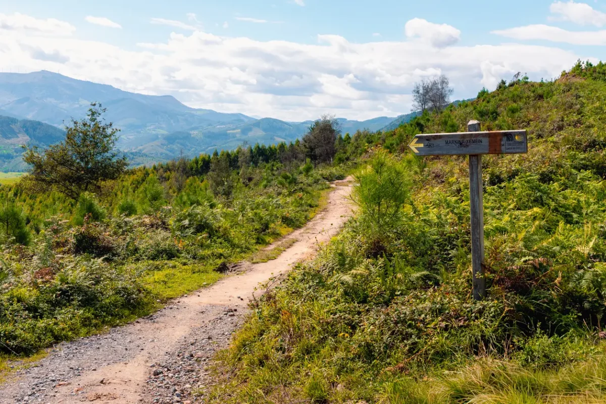 8 Camino de Santiago Tour Operators to Consider for 2027 1 Camino De Santiago, North, Spain