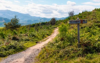 8 Camino de Santiago Tour Operators to Consider for 2027