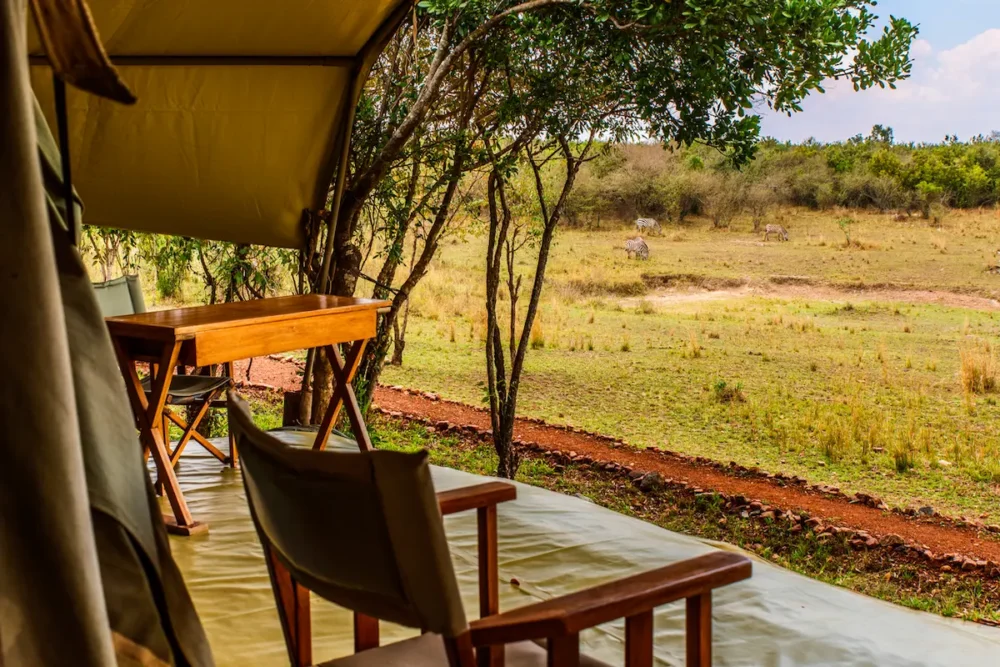 A Guide to an Unforgettable Masai Mara Safari in Kenya 3 Afternoon view from the veranda of a luxury safari tent with zebra visible in the distance.