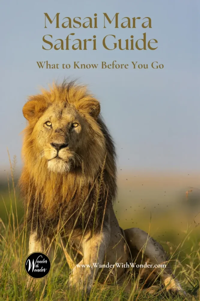 A Guide to an Unforgettable Masai Mara Safari in Kenya 7 Masai Mara Safari Guide: What to Know Before You Go