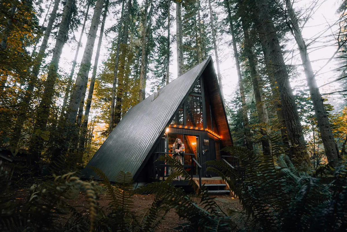 Cabin Under the Trees: A Dog-Friendly Sierra Nevada Getaway Near Bear Valley 1 An A-frame cabin in the woods