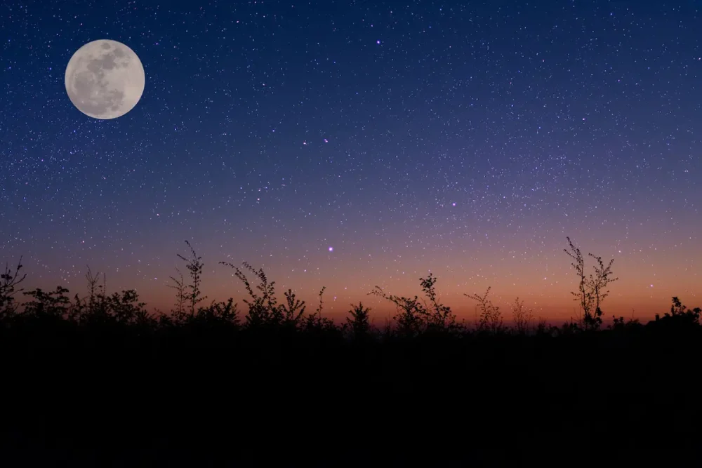 Stargazing in National Parks: Plan a Night Under Dark Skies 3 The night sky over a field with the Moon against the stars