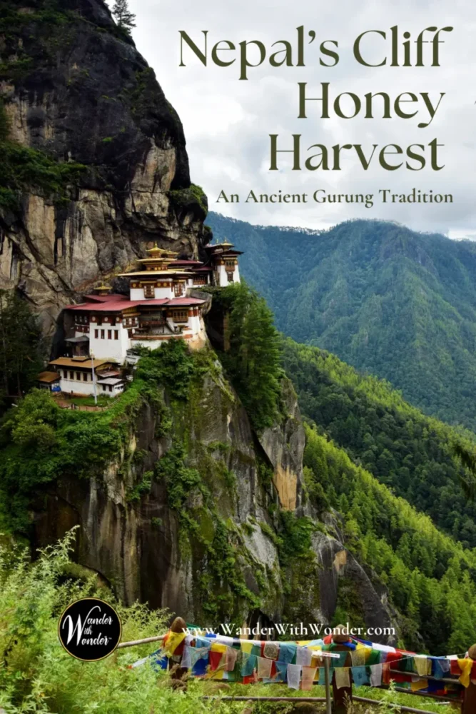 High in Nepal's Gurung hills, honey hunters descend handmade bamboo ladders to collect wild honey from towering cliffs. Discover the extraordinary cliff honey harvest in Bhujung, the traditions behind it, and what travelers should know about visiting this remote Himalayan village. Explore authentic cultural experiences in Nepal with Wander With Wonder.